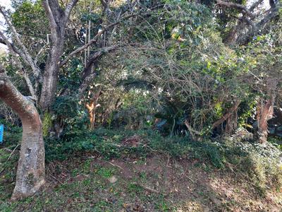 Vacant Land / Plot For Sale in Palm Beach, Southbroom