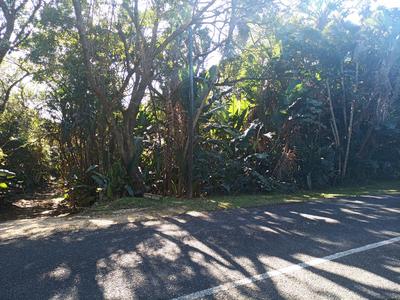 Vacant Land / Plot For Sale in Trafalgar, Trafalgar