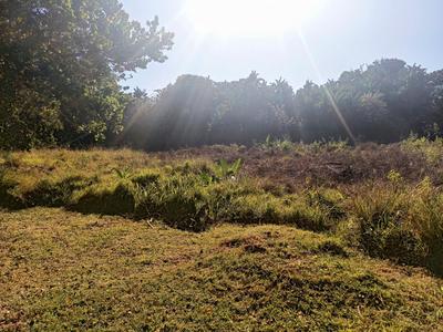Commercial Land For Sale in Trafalgar, Trafalgar