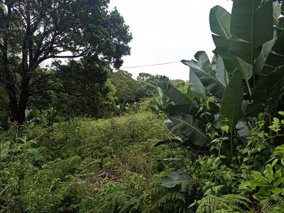 Vacant Land / Plot For Sale in Palm Beach, Port Edward
