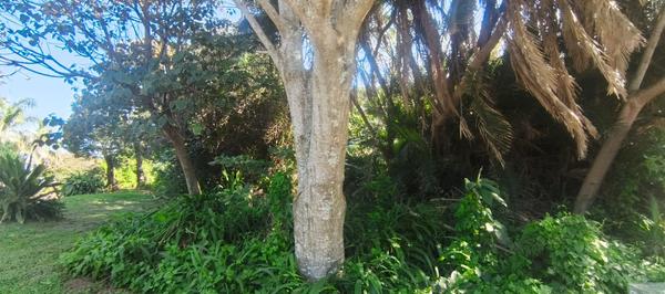Vacant Land / Plot For Sale in Glenmore Beach, Munster